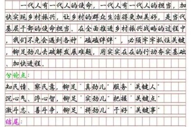 申论文章是写什么的：公共问题解决的实战写作指南