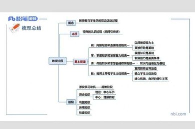 从认知冲突到概念重构：分数教学研究的破局之道