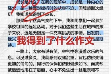 从“我拿什么回报你议论文”看学术写作中的情感回报与价值构建