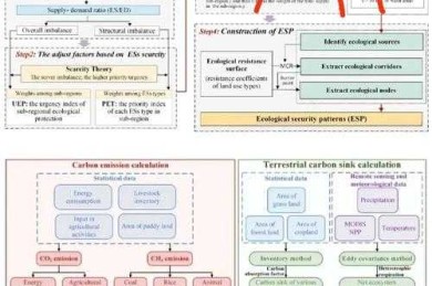 论文基本框架怎么画好