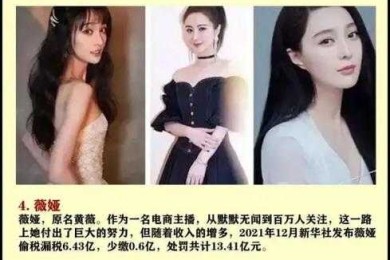 从范冰冰到薇娅：明星纳税筹划论文怎么写才能既有深度又接地气？
