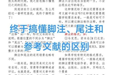 论文脚注的寻宝之旅：技术博主教你定位学术黄金