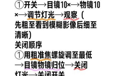 如何选毛衣论文：从新手到专家的完整研究指南