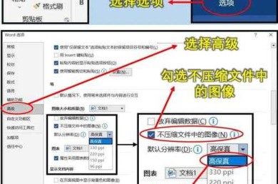 论文插图怎么更改格式