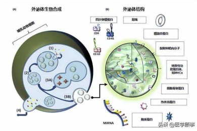 从审稿人视角反推：高质量论文的黄金结构藏在哪？