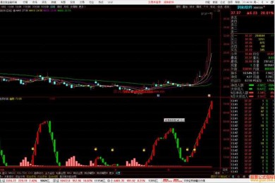 别再头疼了！让我来告诉你如何写股票投资论文报告（内附可复用模板）