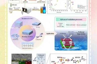 科研人必看：pl论文是什么级别？揭秘学术圈的真实评价体系