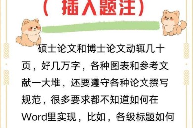 别再错过Deadline! 论文如何编辑提升你的学术影响力