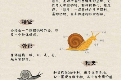 论文蜗牛爬行的背后：科学解构研究与写作脱轨之谜