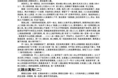 解锁真才实干需要的议论文写作秘籍：从探索到实践