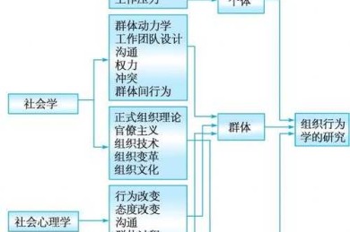 从零开始搞懂：什么是组织行为论文？资深研究者带你拆解核心要素