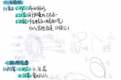 论文解剖指南：7步拆解正文核心密码