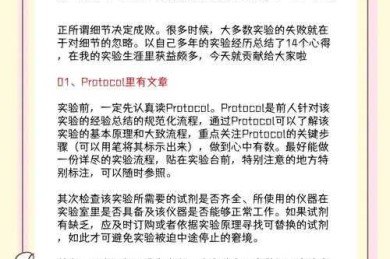 凌晨四点实验室里的顿悟：如何快速水论文背后的学术生存法则