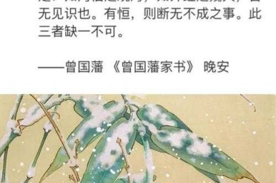 从零开始梳理：关于“曾国藩都有什么论文”的完整研究指南