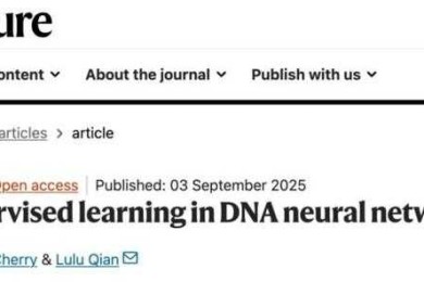 90%的学者都误解了！论文审核是什么？揭秘学术界的隐形守门人