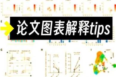 从理论到数据：论文怎么验证XY关系的完整指南