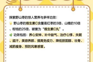 还在为开题发愁？来看这篇“山药红枣酸奶论文怎么写”的保姆级指南
