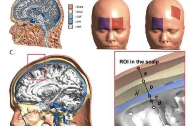 日语议论文的骨架拆解：与中文比较下的结构差异探析
