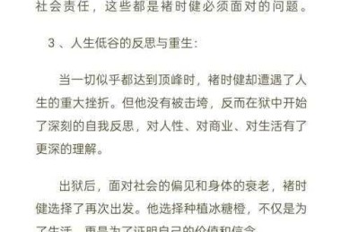 揭秘学术界的隐形角色：论文导演是什么？你可能从未注意的关键人物