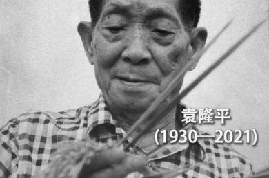 从零到一：袁隆平的议论文怎么写才能既有深度又打动人心？