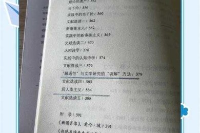 从困惑到精通：一名学术民工如何理解文学人类学论文的本质