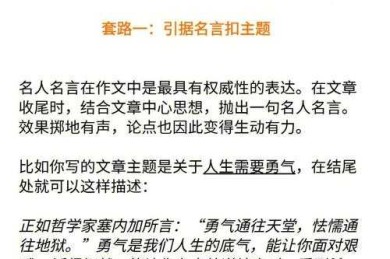 从零到一：专升本议论文该怎么写？资深学术人教你拆解高分套路