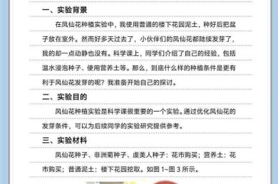 从零到高分：揭秘初中生怎么写高分论文呢初中的科学路径