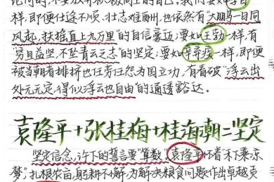 如何教别人写议论文素材