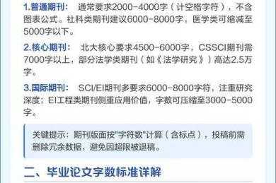 学术写作中的字数检查节点控制策略：论文什么时候会查字数的？