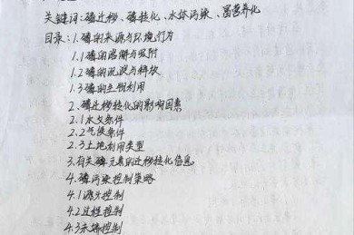 毕业论文汉语怎么改写