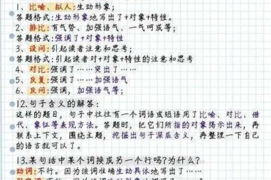不会写论证段落？这篇干货帮你攻克“议论文中如何写论证”的核心难题
