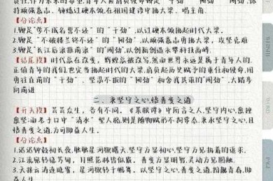 从认知科学到写作实践：如何构建一篇高效学习策略的议论文