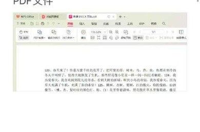 WPS论文压缩指南：一篇让你毕业季硬盘不再告急的实用研究