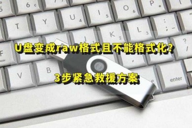 紧急救援指南：u盘论文怎么恢复？这些方法能救你的毕业设计