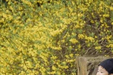 从零开始：如何用学术思维拆解太极入门研究