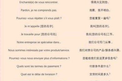 法语论文结语写作完全指南：从写作策略到语言技巧