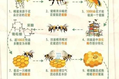 蜂蜜自动灌装论文全攻略：从选题到发表的保姆级教程