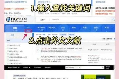 怎么查找英文论文