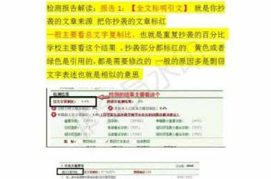 还在为重复率头疼？这份超详细的“知网怎么论文查重”指南请收好！