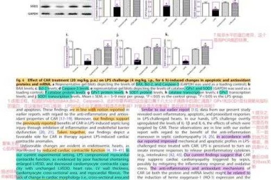 学术小白的困惑：icr论文是什么论文？—这篇指南让你秒变专家