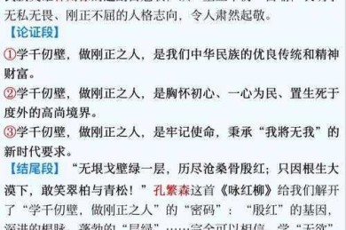 别再踩坑了！资深学术人带你掌握“如何正确对待女性议论文”的核心要义