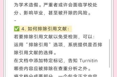 论文审查密码：从查重陷阱到学术诚信的真相追踪