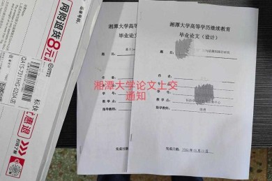 论文提交逾期了？别慌！学术幸存者的结果追踪攻略