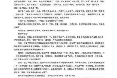 什么论文最好玩