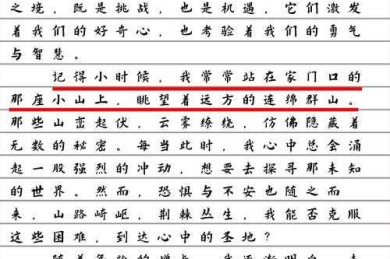 探索未知的研究疆域：什么是生命感受论文？学术写作的范式突破