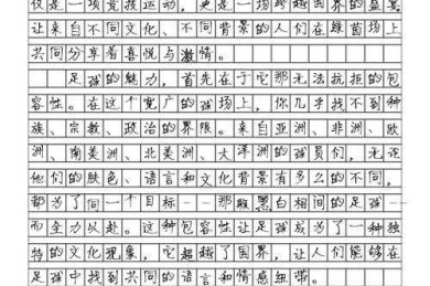 从草根到职业：专业足球场建设中的空间叙事与功能优化