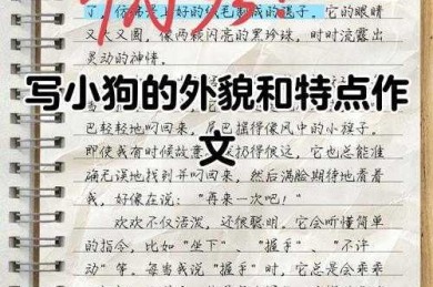 手把手教你写出高分论文：学术狗的真实作战手册