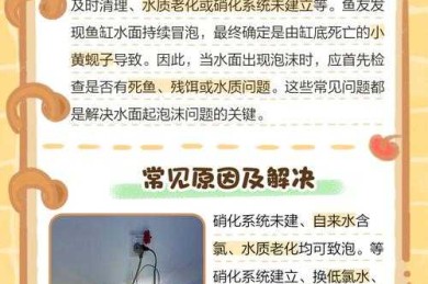 当心，你可能正在制造学术泡沫：什么是注水论文题目（以及如何避免它）