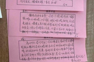 从新手到大师：如何高效撰写论文老师评语表——一个学术导师的实战指南