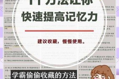 大脑升级指南：如何提高记忆效率论文的底层逻辑与实战方法